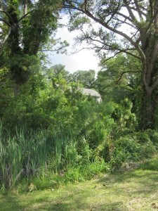 Ocracoke Island May 2015 001