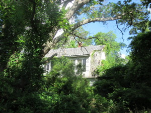 Ocracoke Island May 2015 009