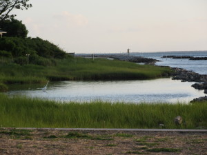 Ocracoke Island May 2015 122